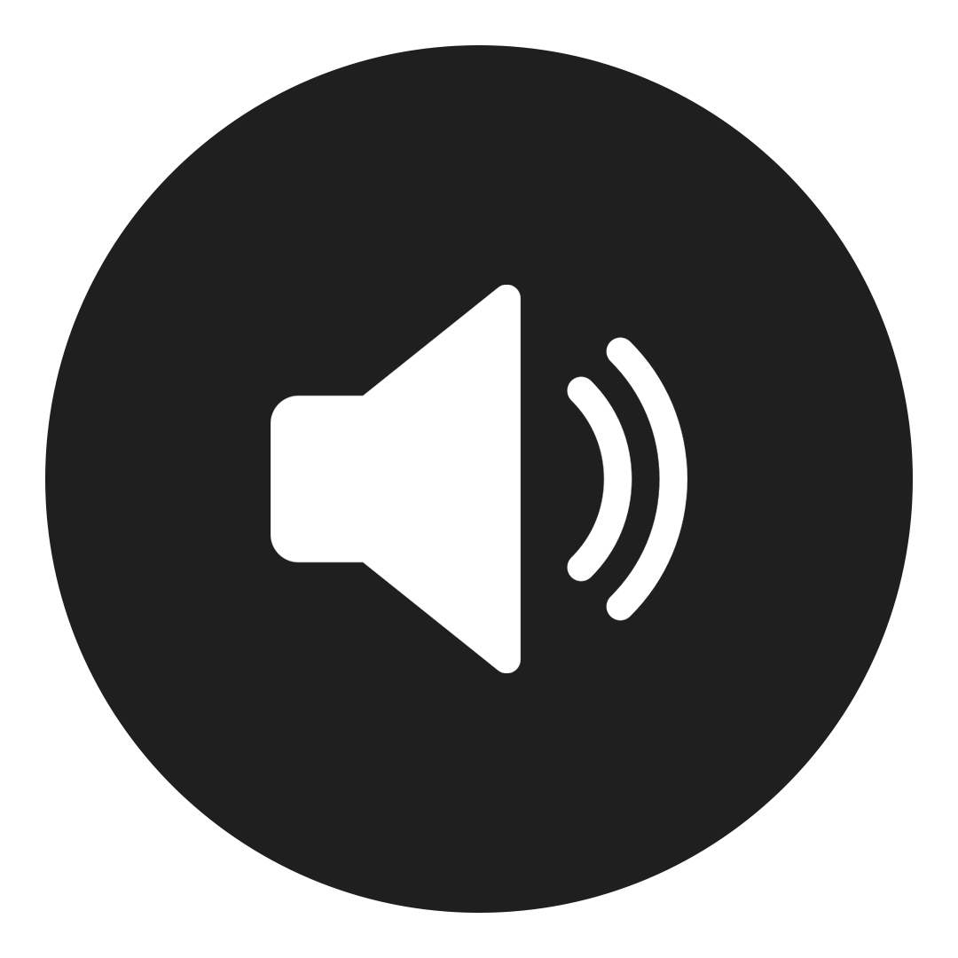 Loud Speaker Replacement