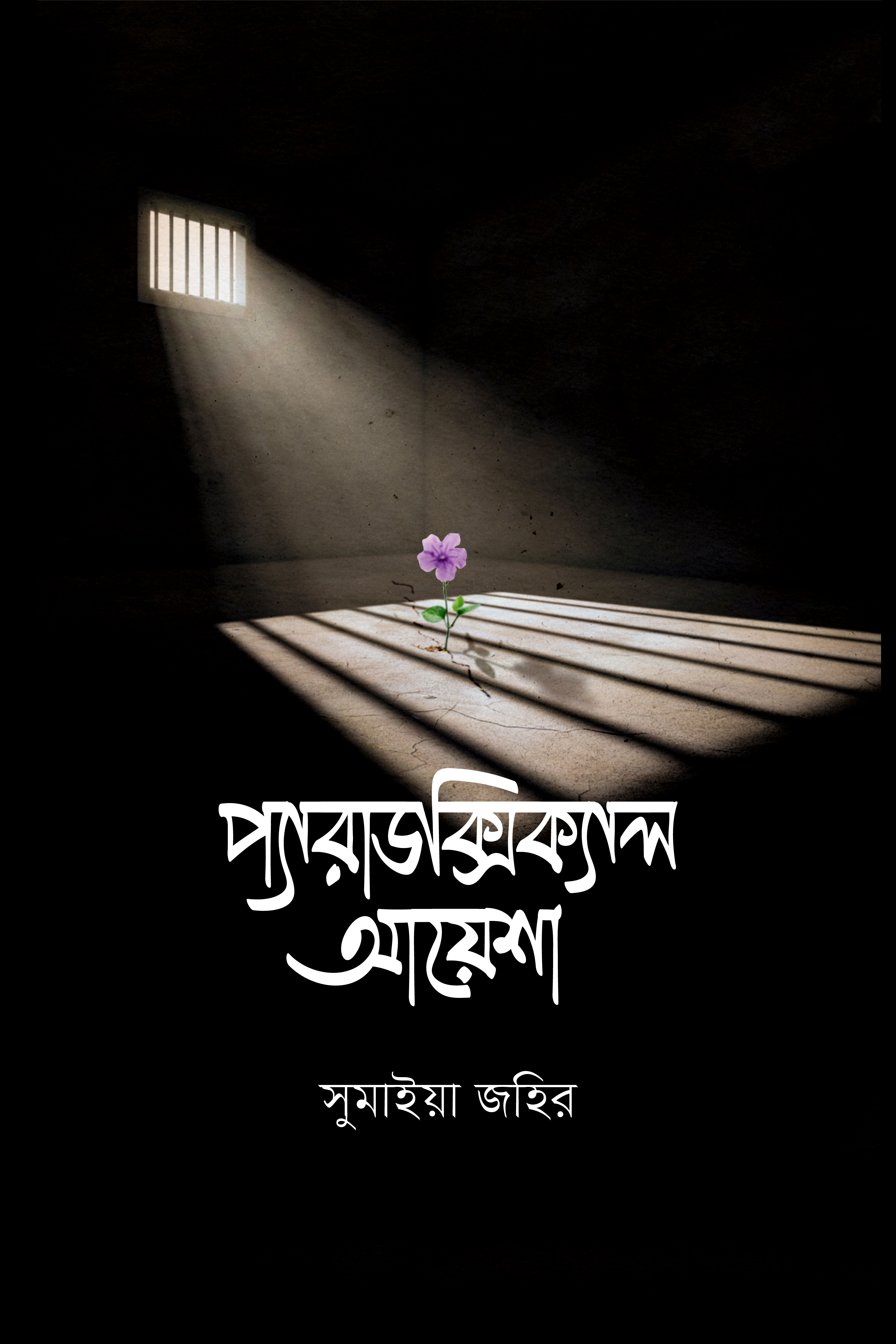 প্যারাডক্সিক্যাল আয়েশা